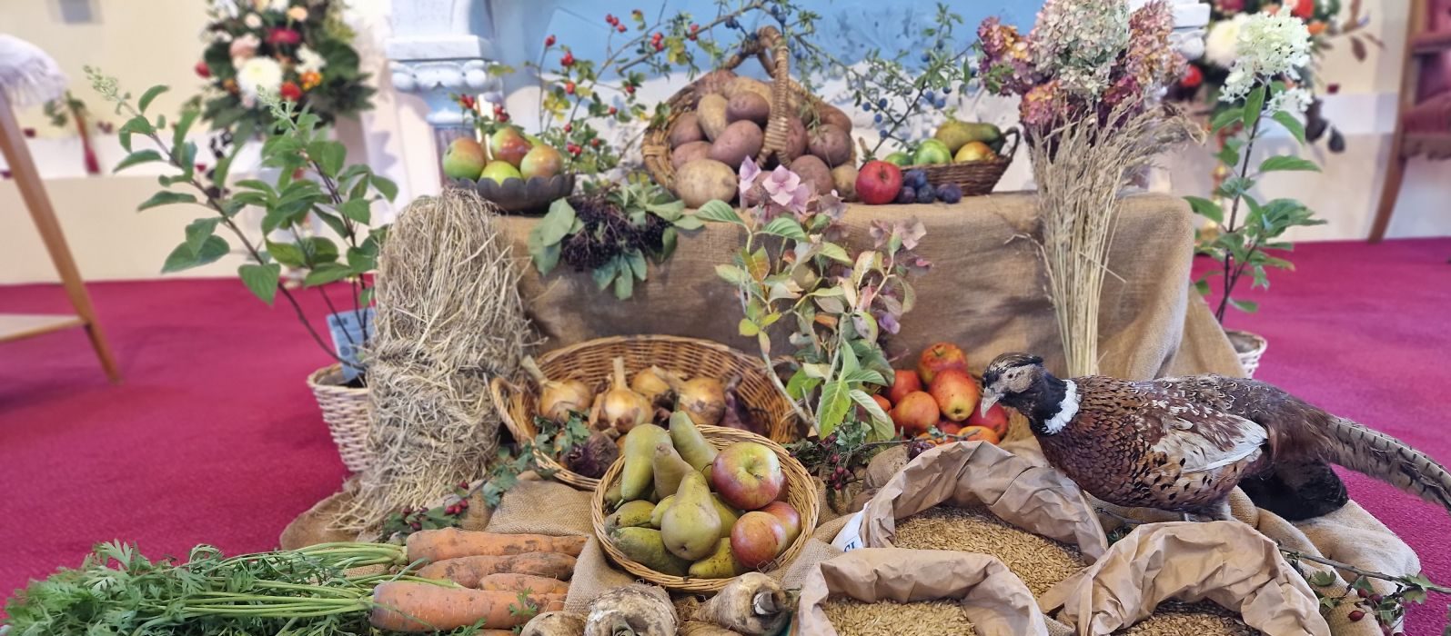 Harvest Season of Creation